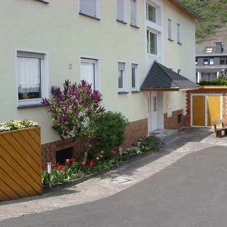 Apartmán Fewo Moselblick Ernst Exteriér fotografie